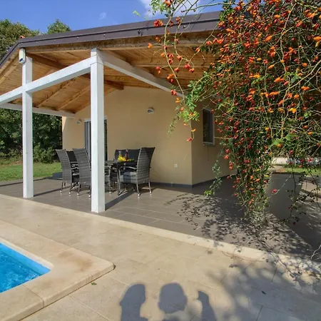 Wonderful Nezakcij With Pool Near The Town And The Villa Valtura